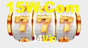 Programa VIP 14Vin